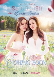 Amor Negado: Sem Fim