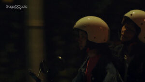 Fragrância da Primeira Flor: 1×5